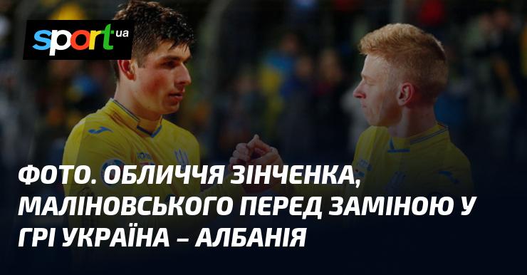 Знімок: Вирази обличчя Зінченка та Маліновського перед виходом на заміну в матчі Україна - Албанія.