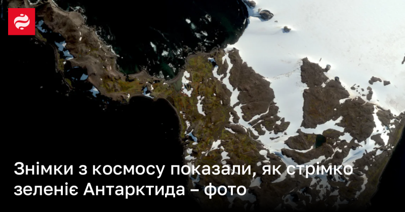 Фотографії з космосу продемонстрували, як швидко покривається зеленню Антарктида - зображення.