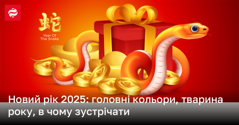 Новорічні свята 2025: основні кольори, символ року та як правильно зустрічати його.