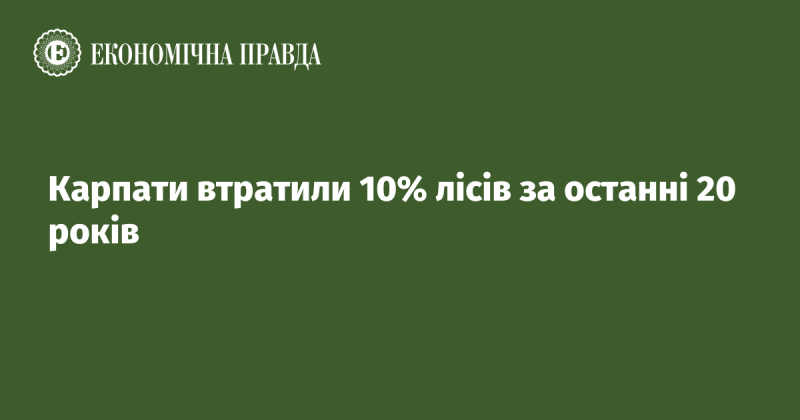 Протягом останніх двох десятиліть Карпати зазнали зменшення лісового покриття на 10%.