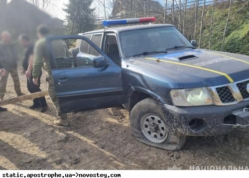 У Закарпатті незаконні лісоруби завдали шкоди лісовим ресурсам на суму 40 мільйонів гривень.